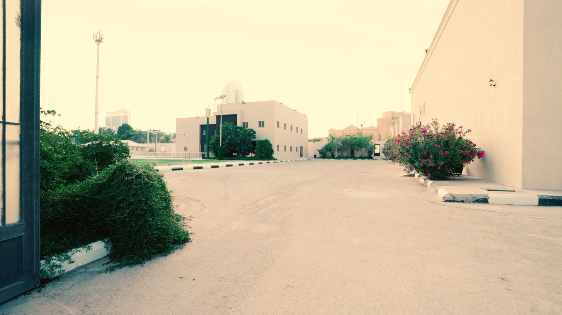 صورة من فرع الخبر 23