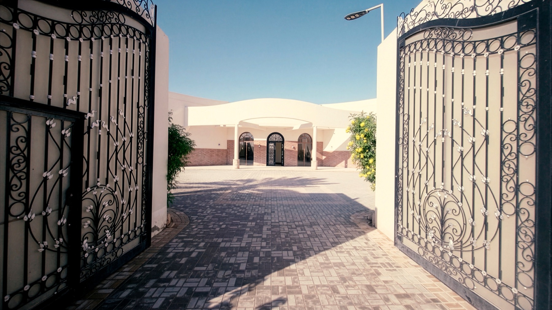 صورة من فرع الرياض 12